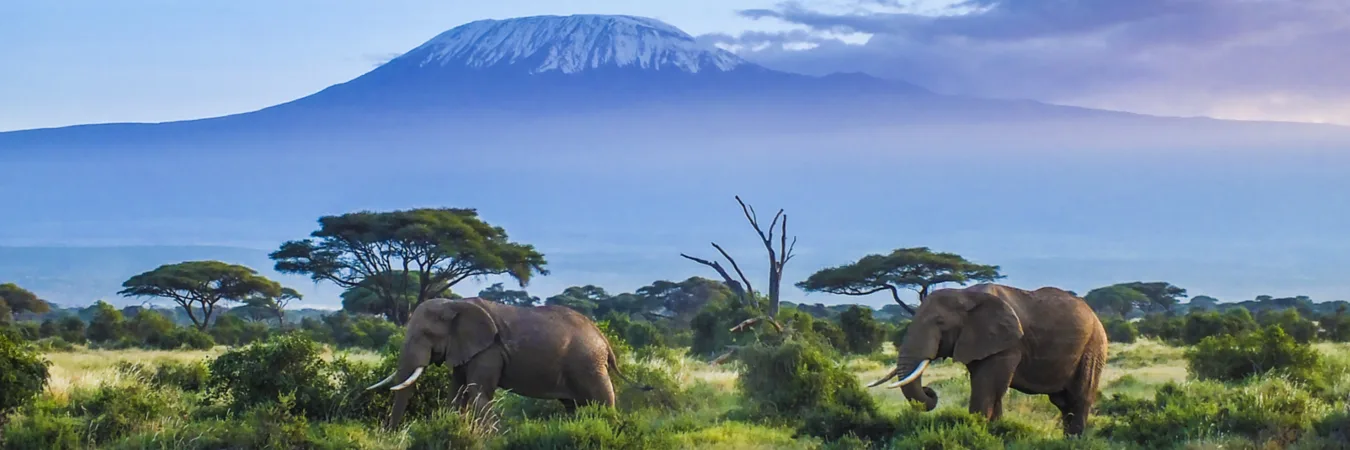 Amboseli