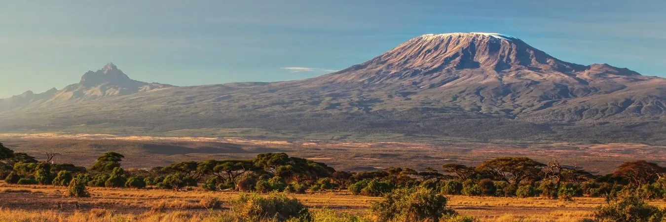 Kilimanjaro