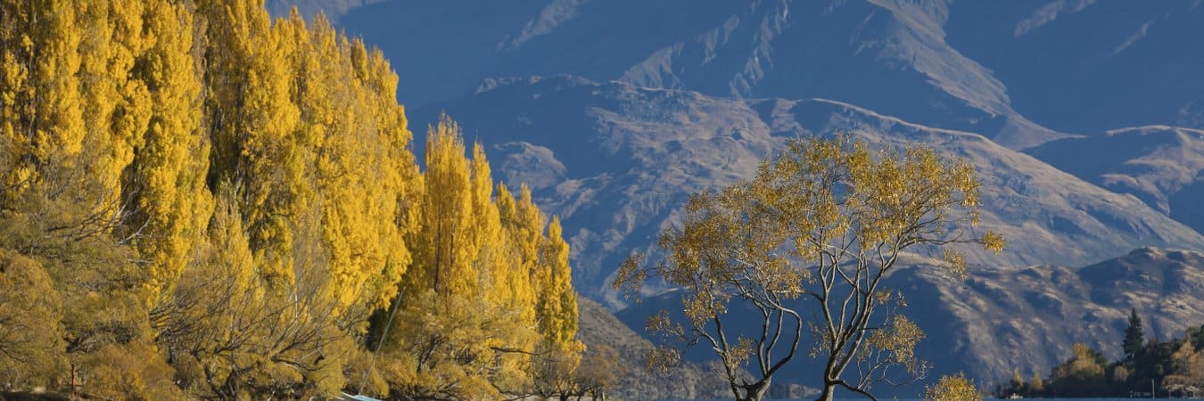 Wanaka