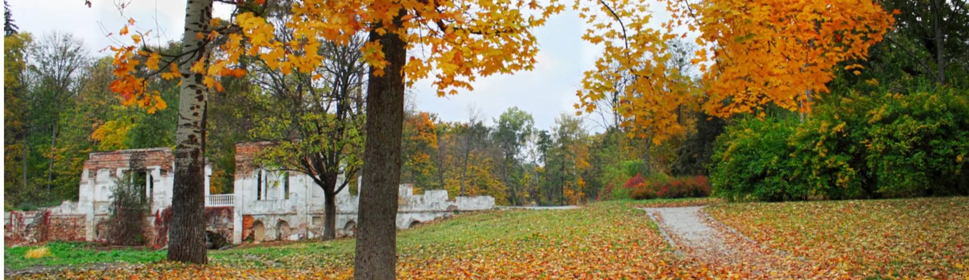 Waco - Alexandria uçak bileti