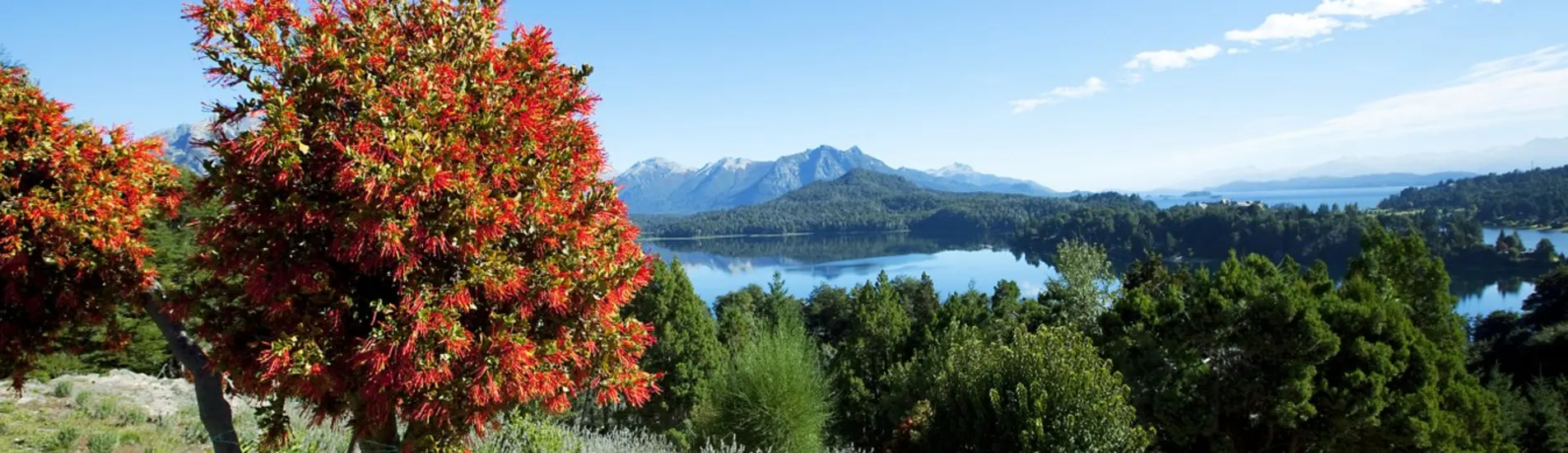 Santa Fe - San Rafael uçak bileti