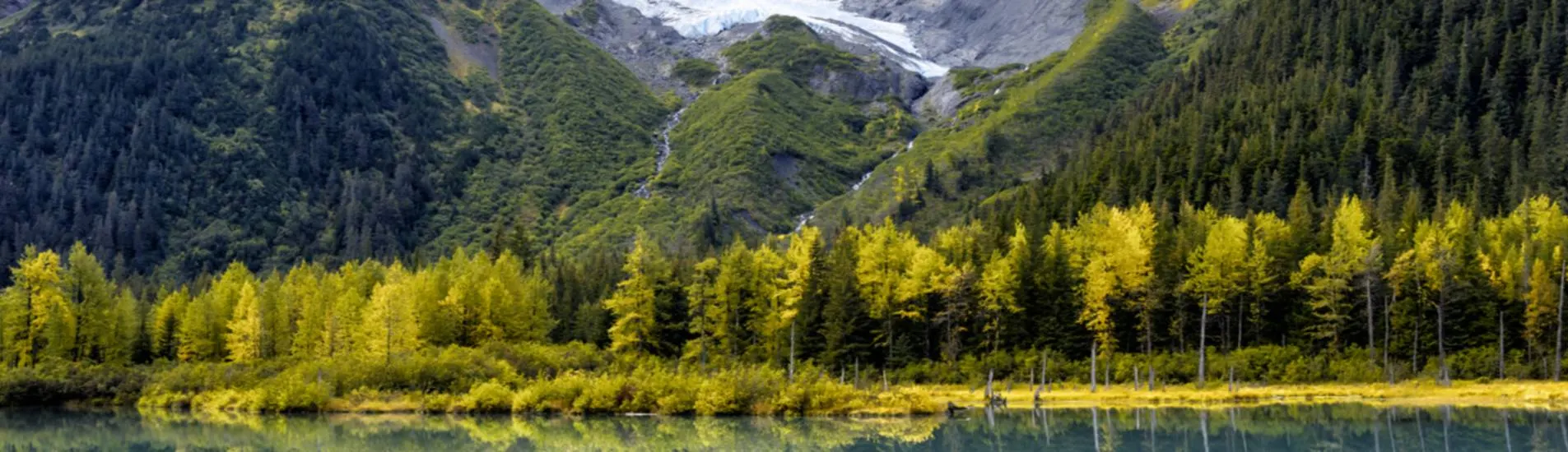 Everett - Anchorage uçak bileti