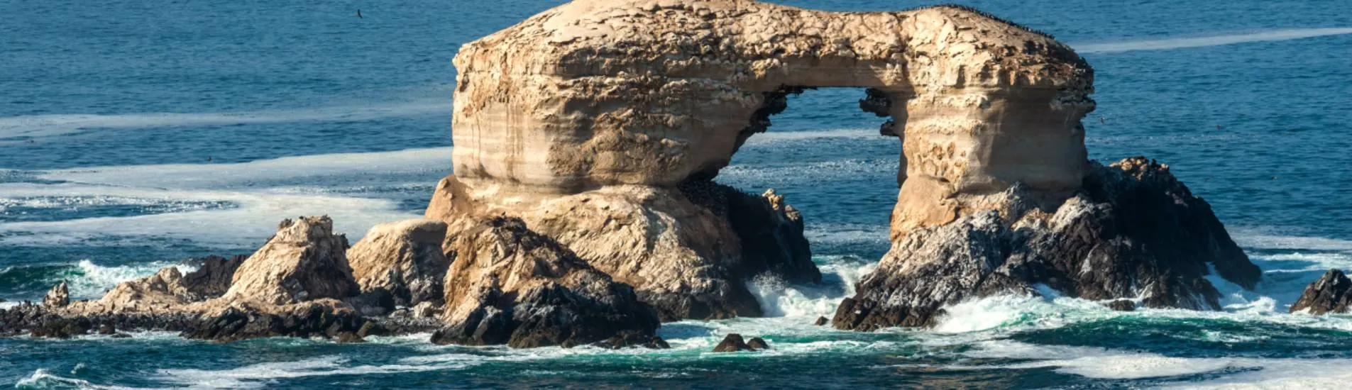 Arica - Antofagasta uçak bileti