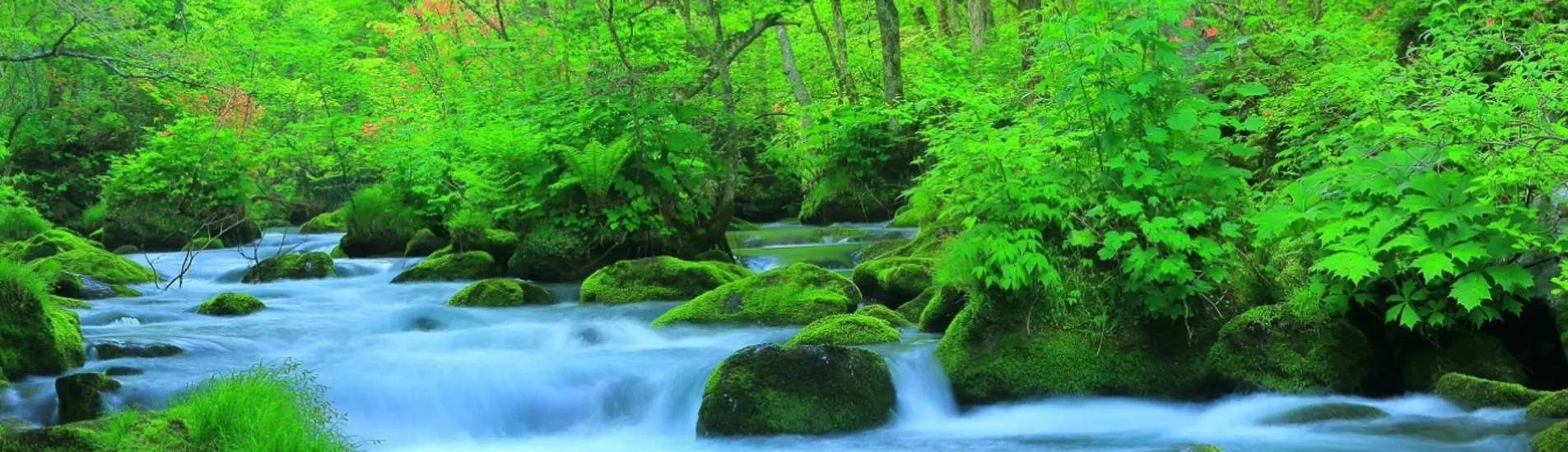 Sapporo - Aomori uçak bileti