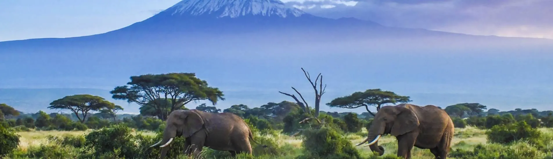 Kisumu - Amboseli uçak bileti