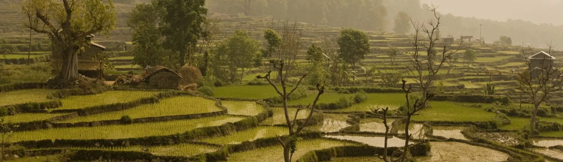 Biratnagar uçak bileti