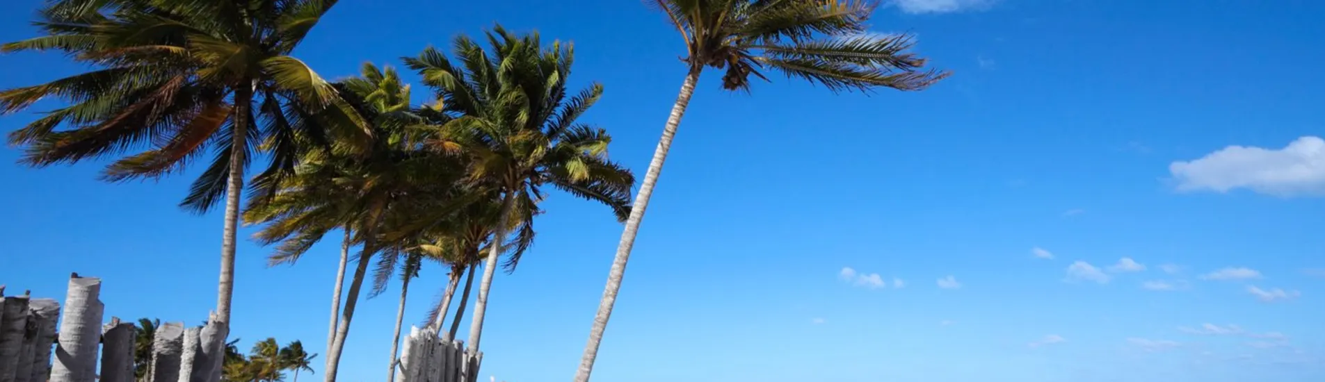 Cayo Coco uçak bileti