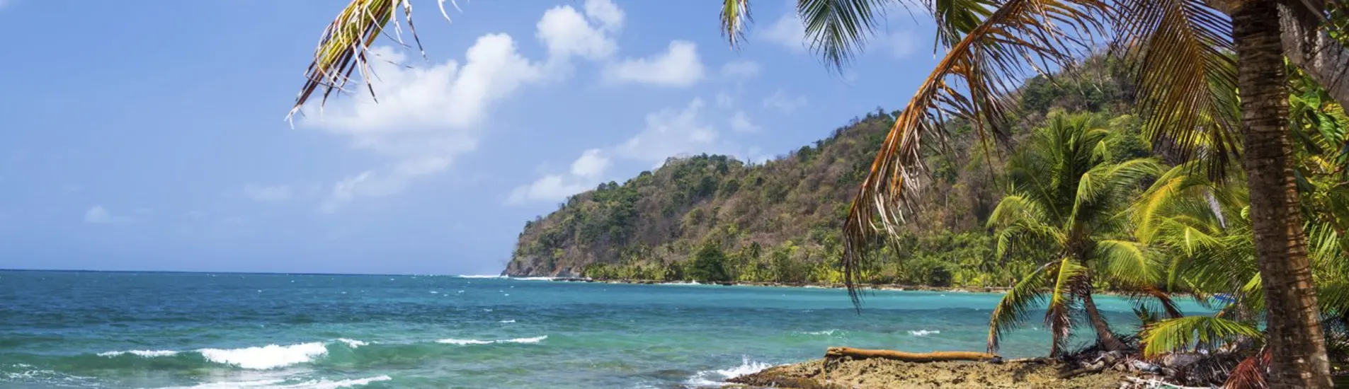 David District uçak bileti