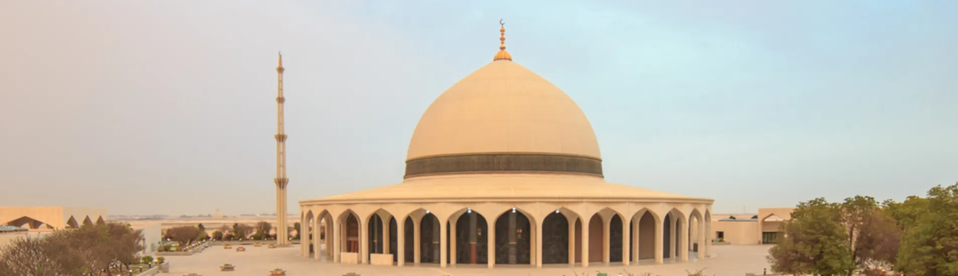 Ed Dammam uçak bileti