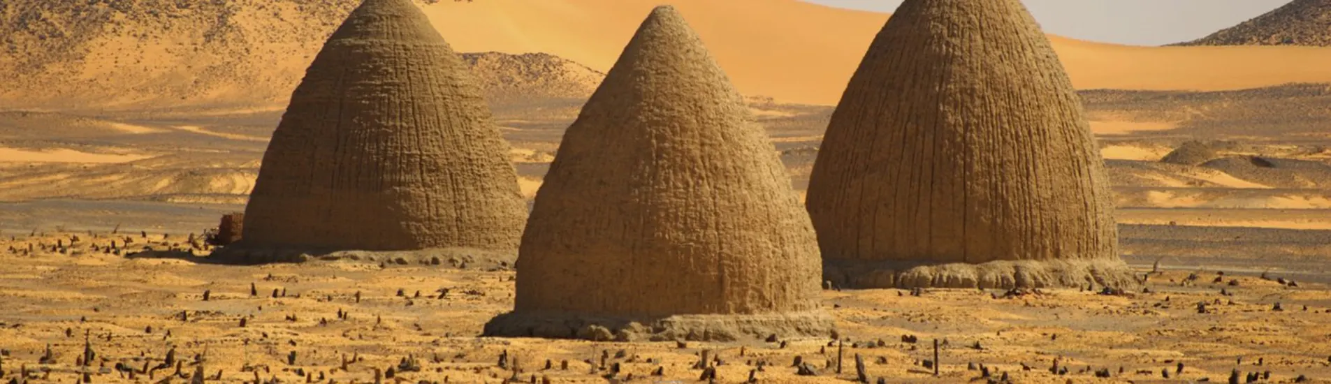 Dongola uçak bileti