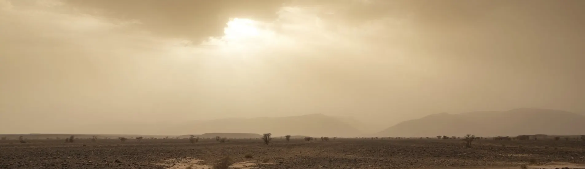 Hassi Messaoud uçak bileti