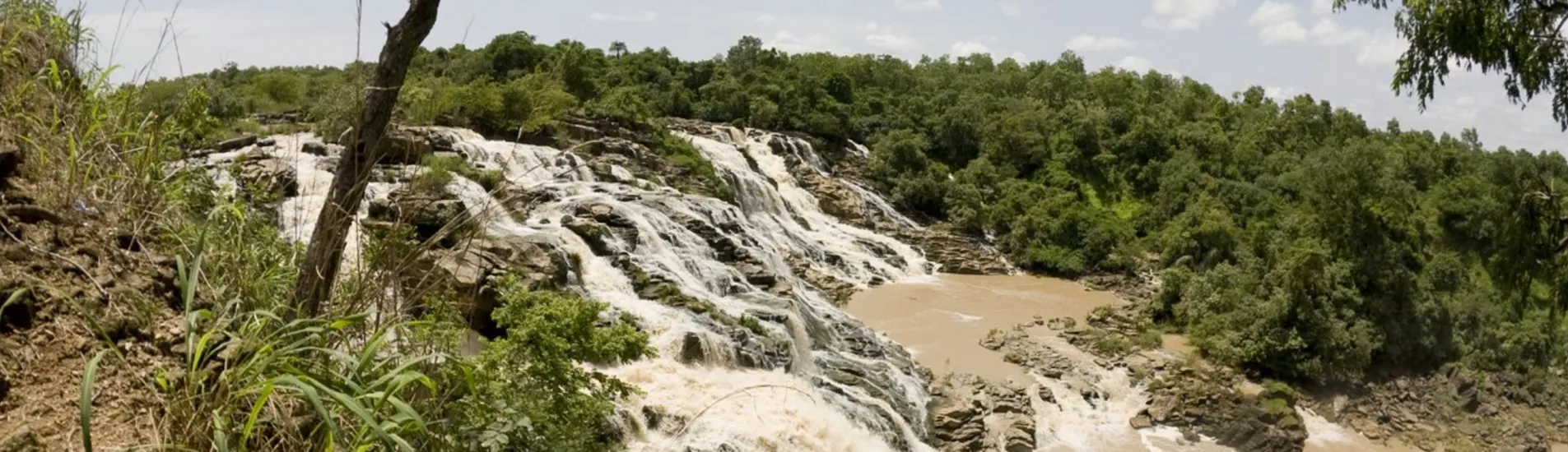 Asaba - İbadan uçak bileti