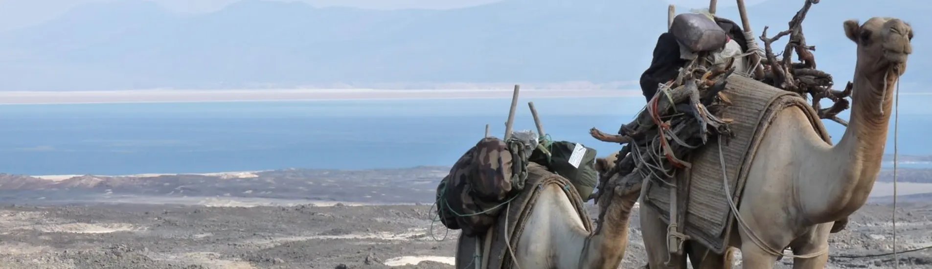 Asmara - Cibuti uçak bileti