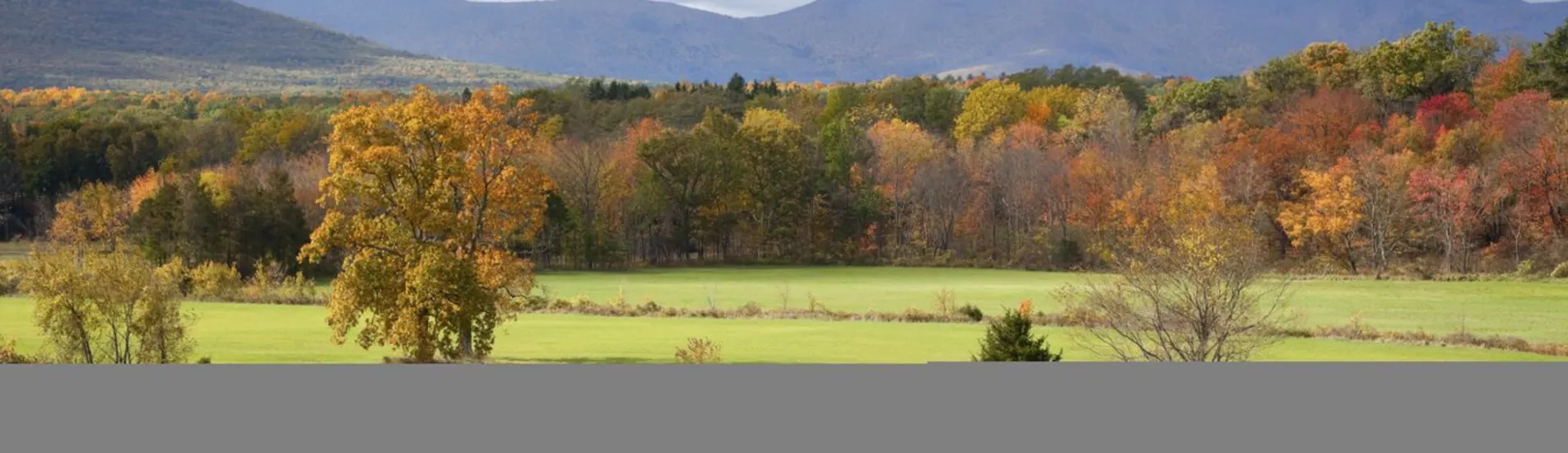 Jyväskylä uçak bileti