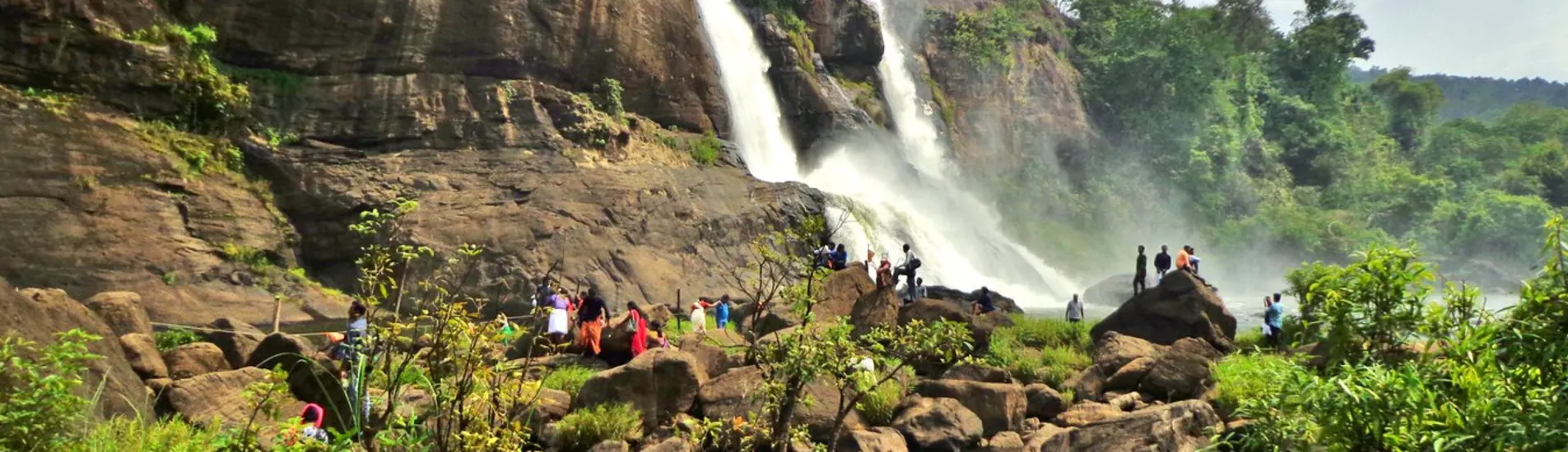 Nagoya - Kochi flight tickets