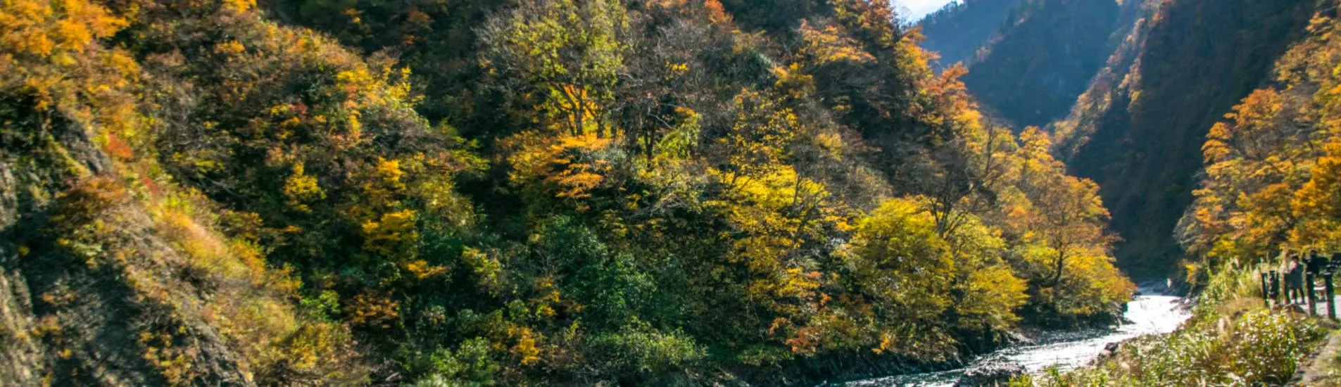 Niigata uçak bileti