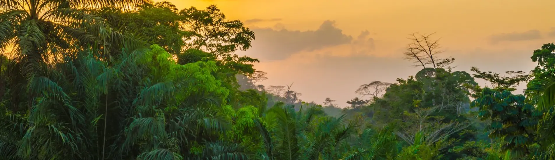 Liberya uçak bileti