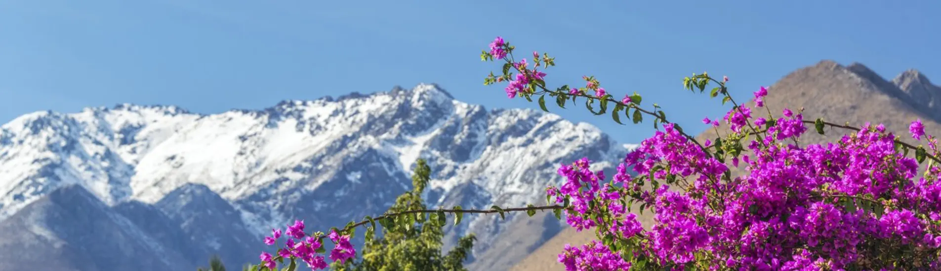 Concepcion - La Serena uçak bileti