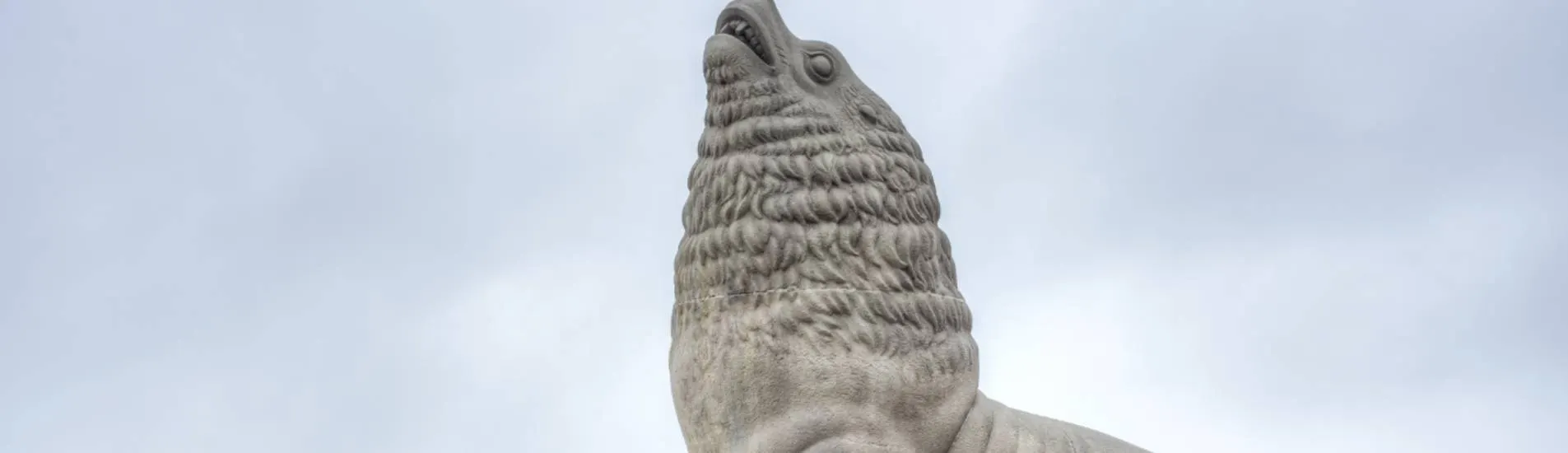 Mar del Plata uçak bileti