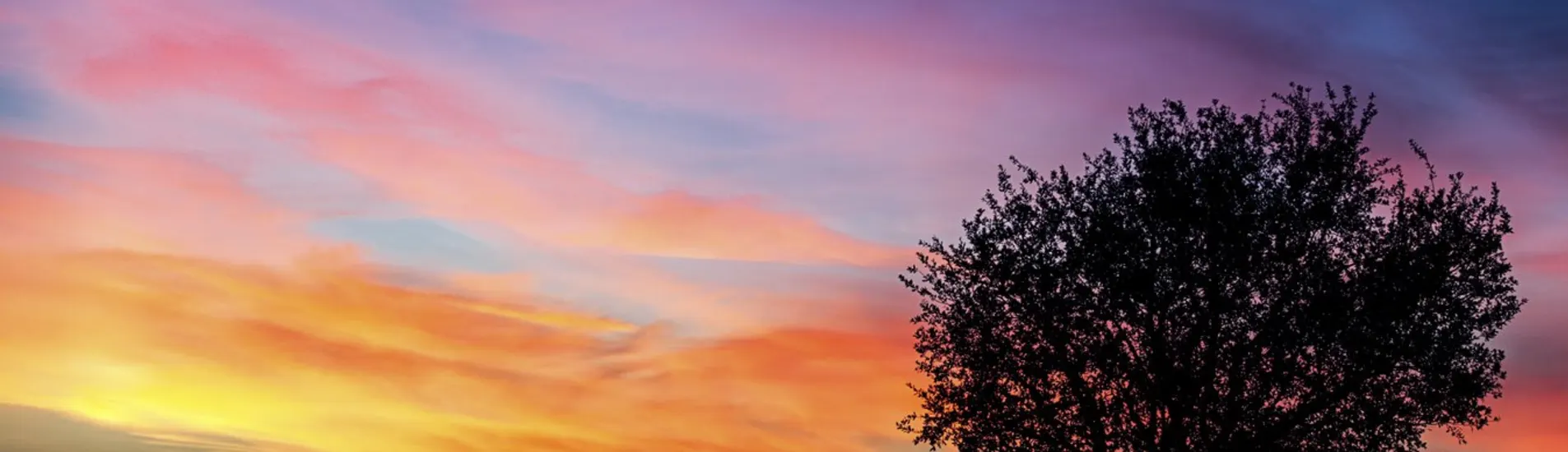 Mandeville uçak bileti