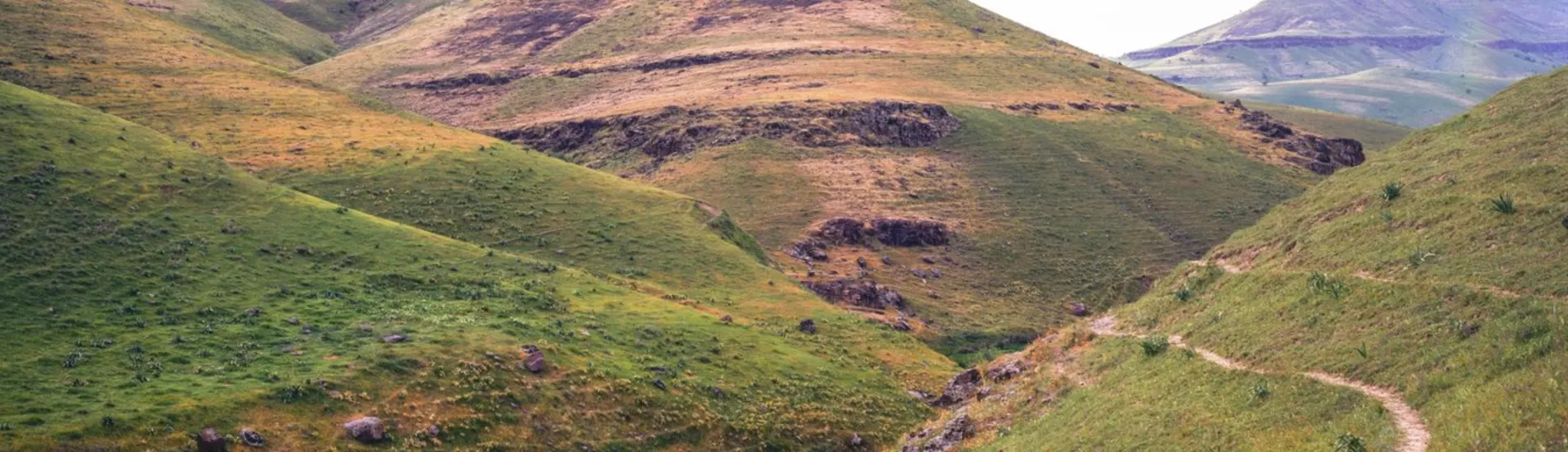 Semerkand - Nukus uçak bileti