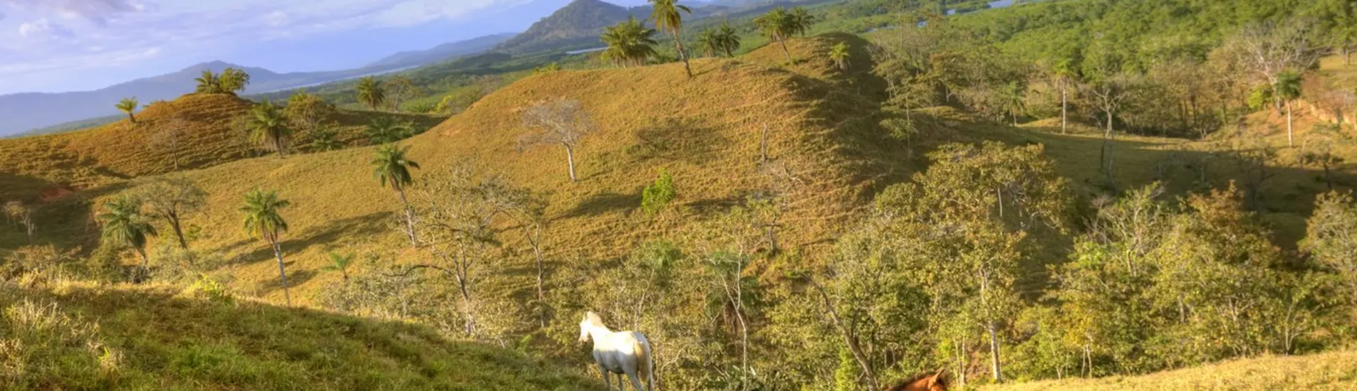 Contadora Island uçak bileti