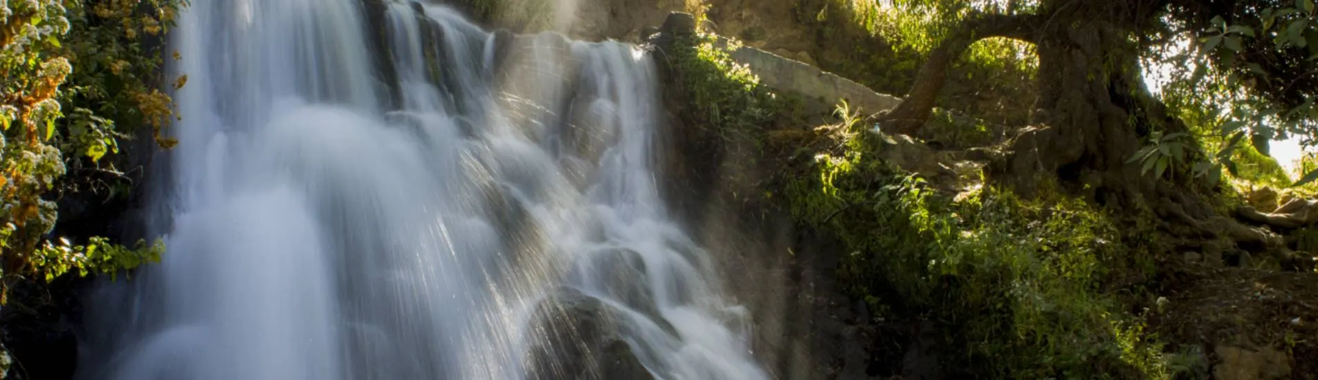 Leon - Puebla uçak bileti