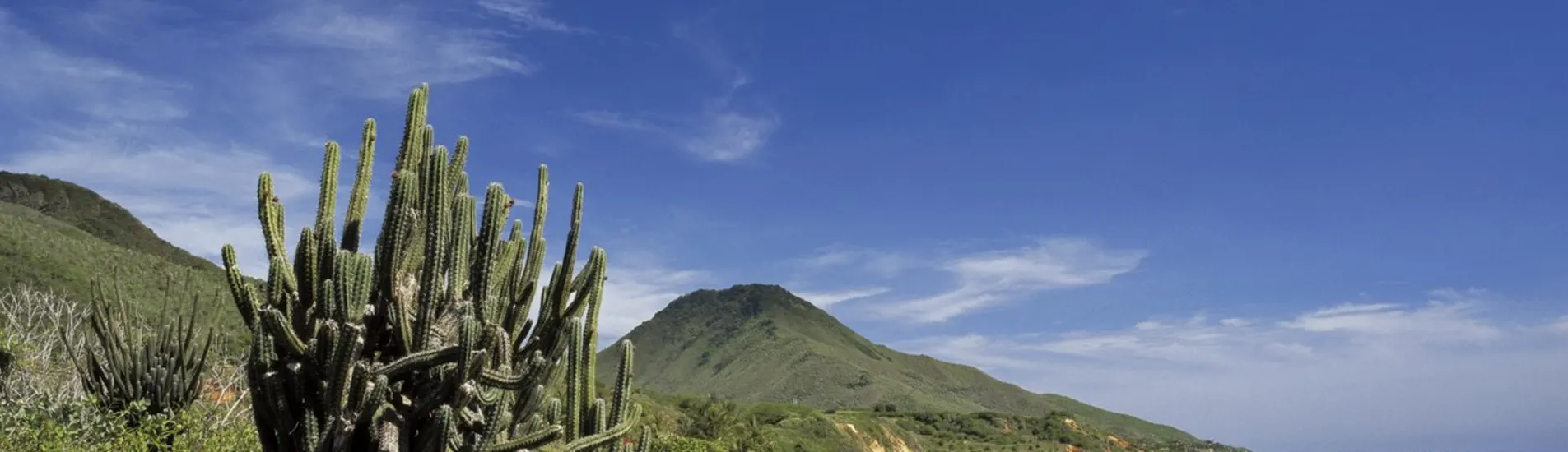 Barranquilla - Porlamar uçak bileti