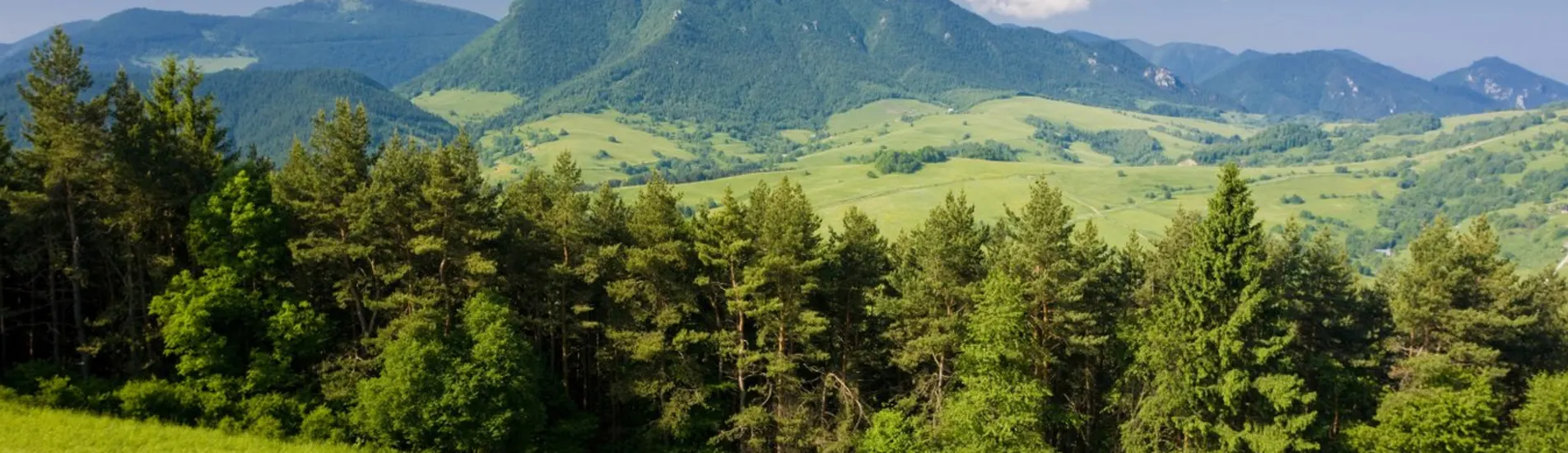 Piešťany uçak bileti