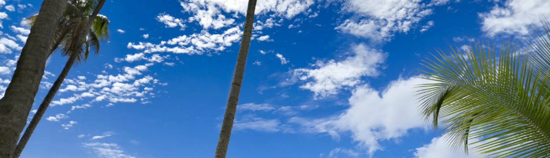 Rock Sound uçak bileti