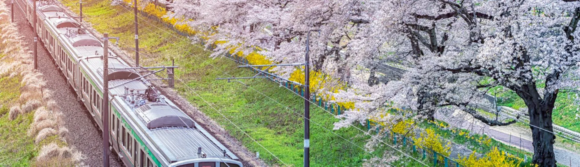 Hakodate - Sendai uçak bileti