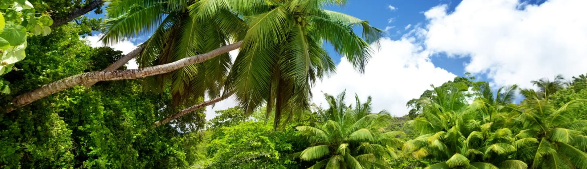 Nosy Be - Mahé uçak bileti