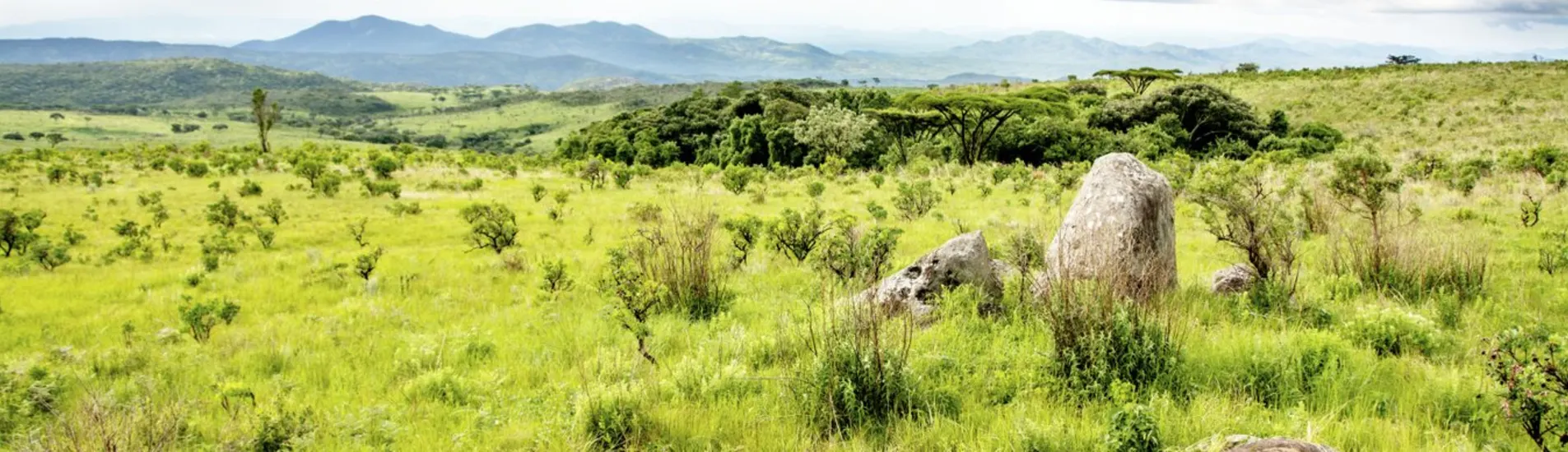 Solwezi uçak bileti