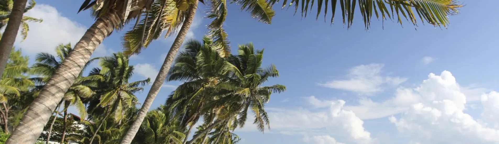 San Pedro uçak bileti