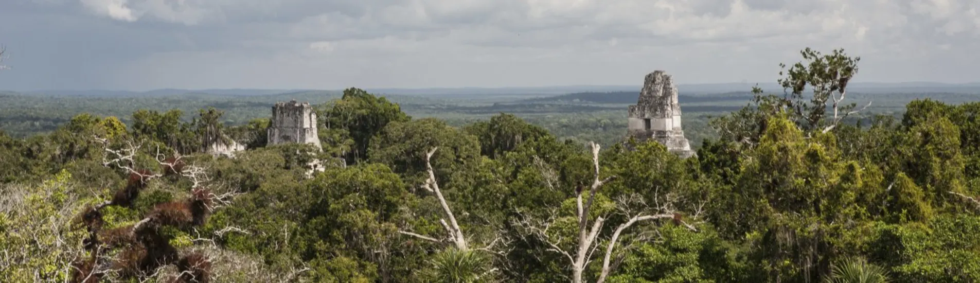 San Ignacio uçak bileti