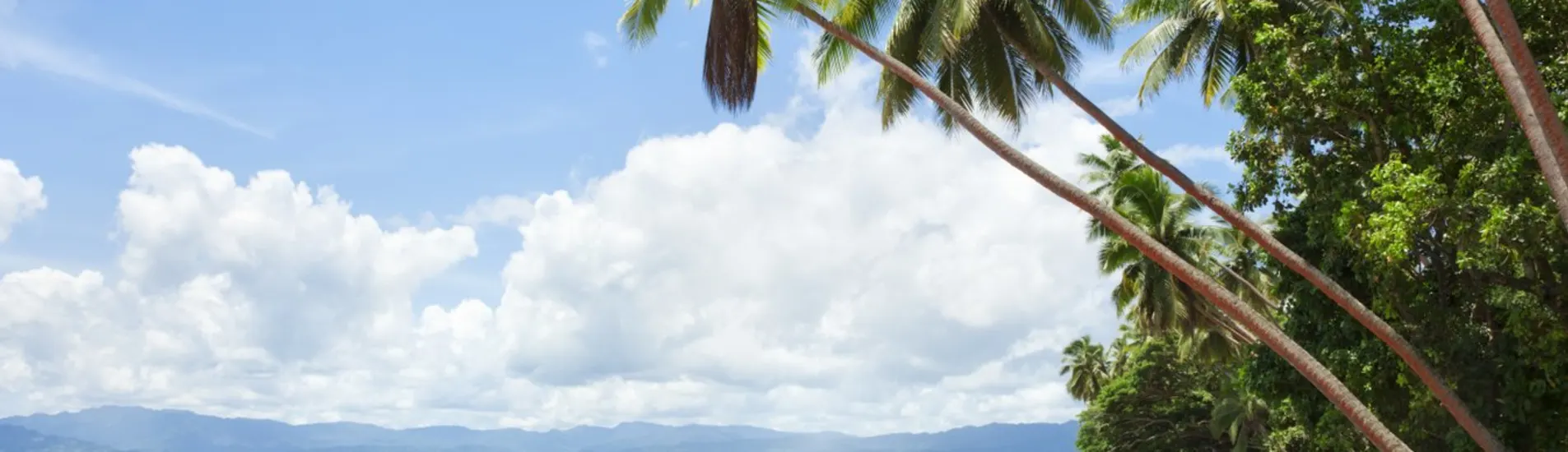 Savusavu uçak bileti