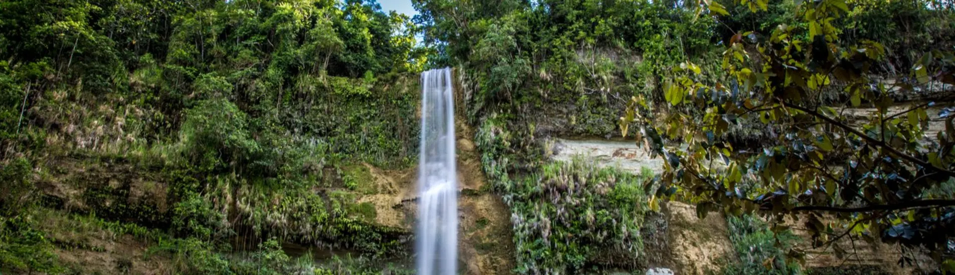 Legazpi City - Tagbilaran City uçak bileti