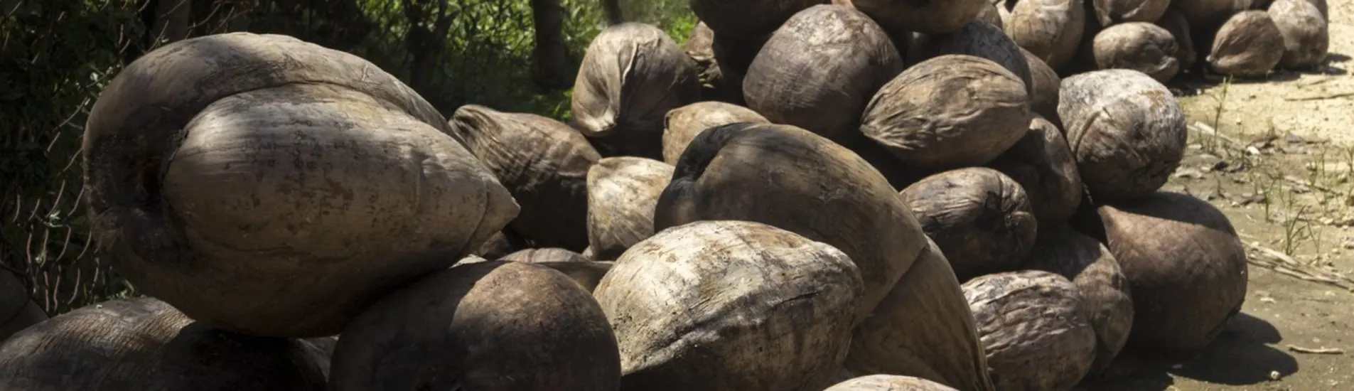 Nuku'alofa uçak bileti