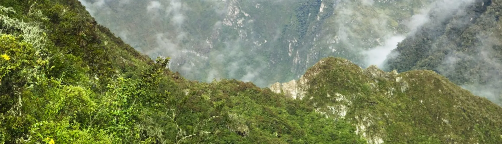 Tarapoto uçak bileti