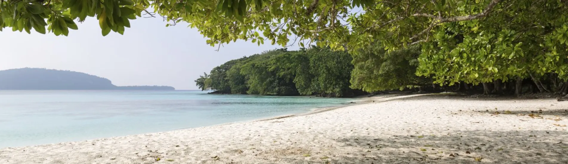 Apia - Port Vila uçak bileti