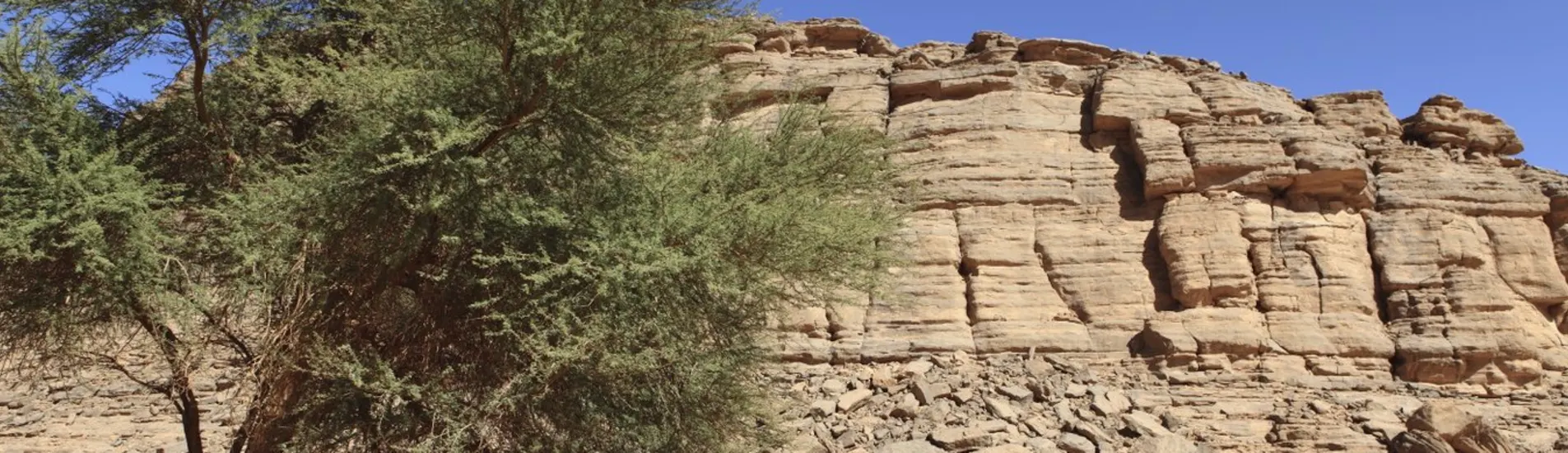 Konstantin - Illizi uçak bileti