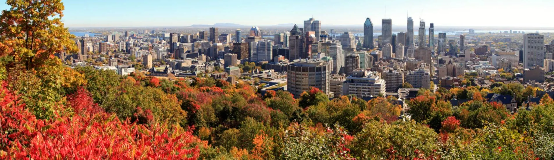 Winnipeg - Montreal uçak bileti