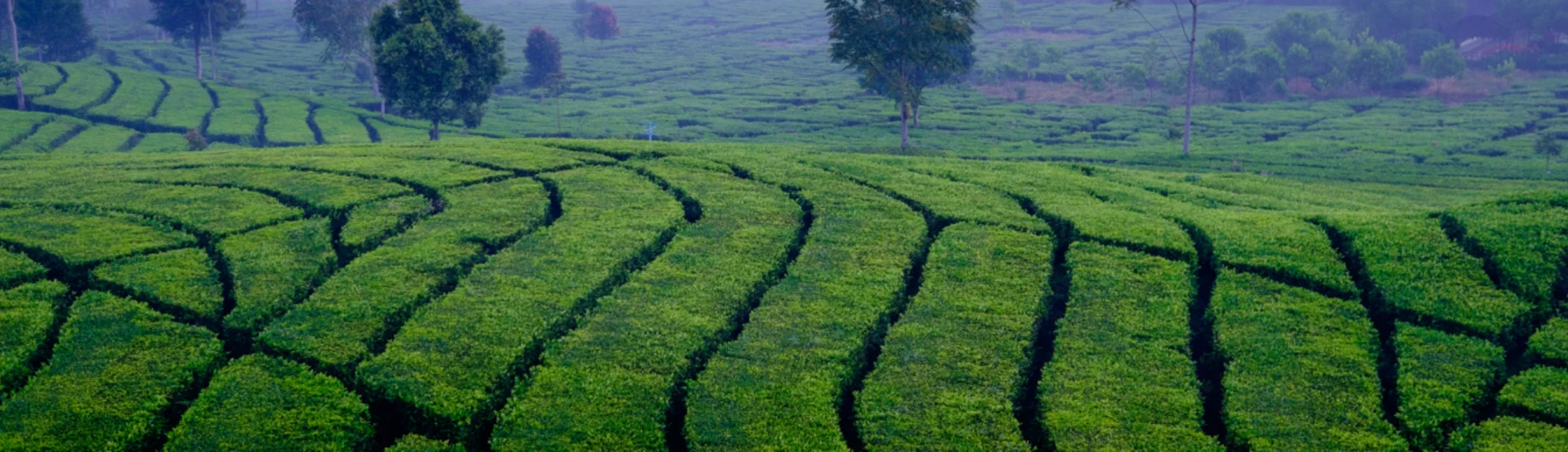 Bandung uçak bileti