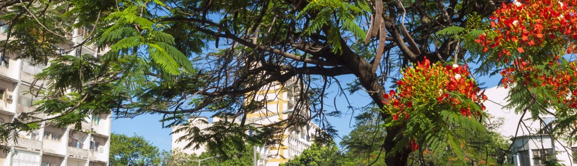 Maputo - Beira uçak bileti