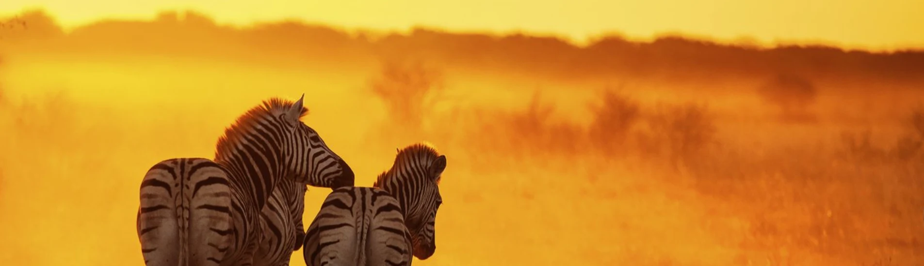 Chipata uçak bileti