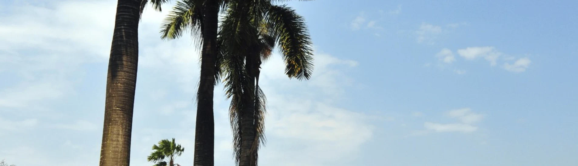 Entebbe uçak bileti