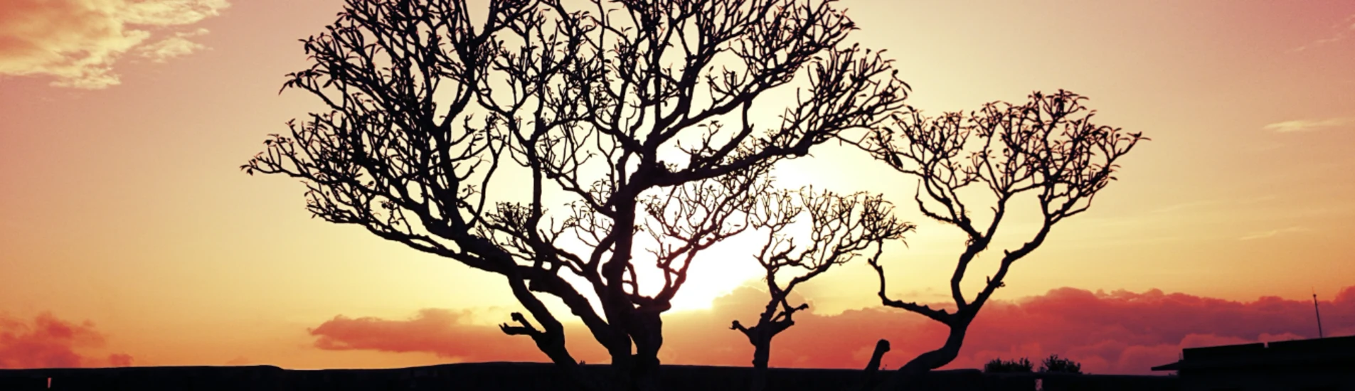 Mysuru - Belagavi uçak bileti