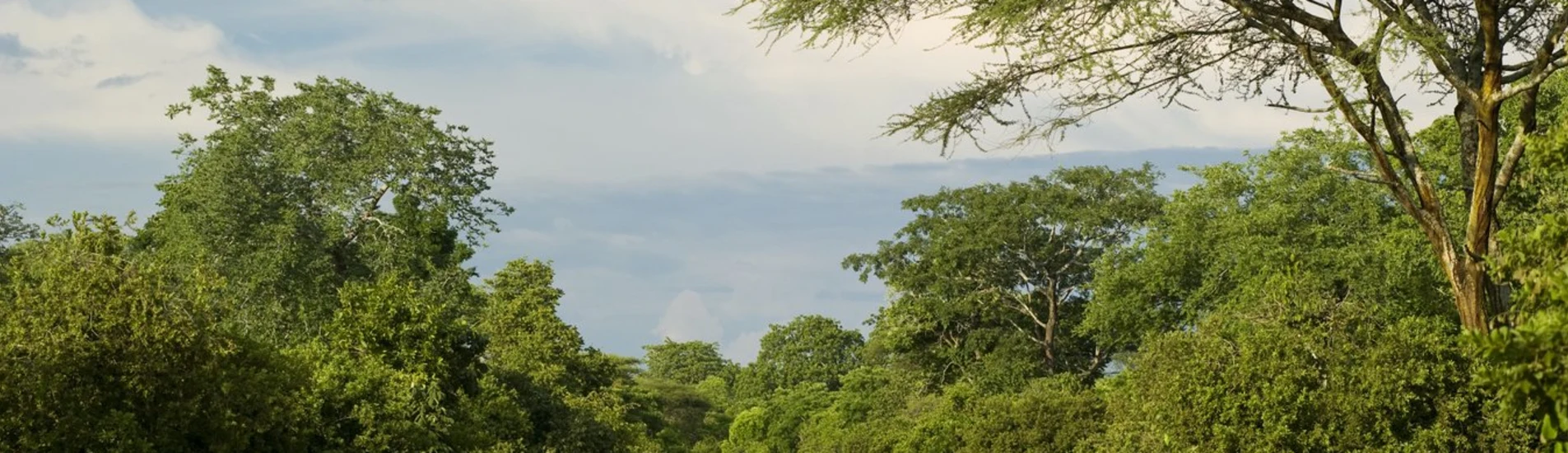 Kananga uçak bileti