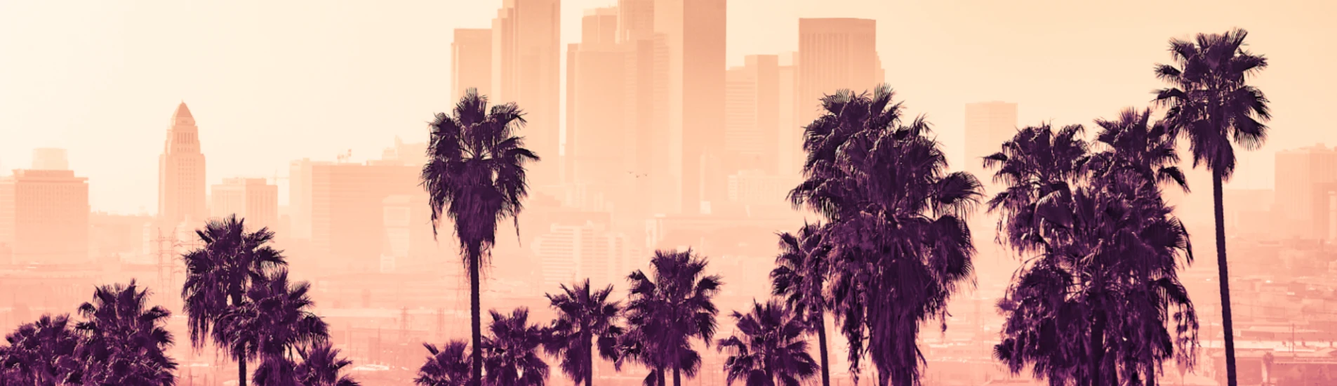 Los Angeles uçak bileti