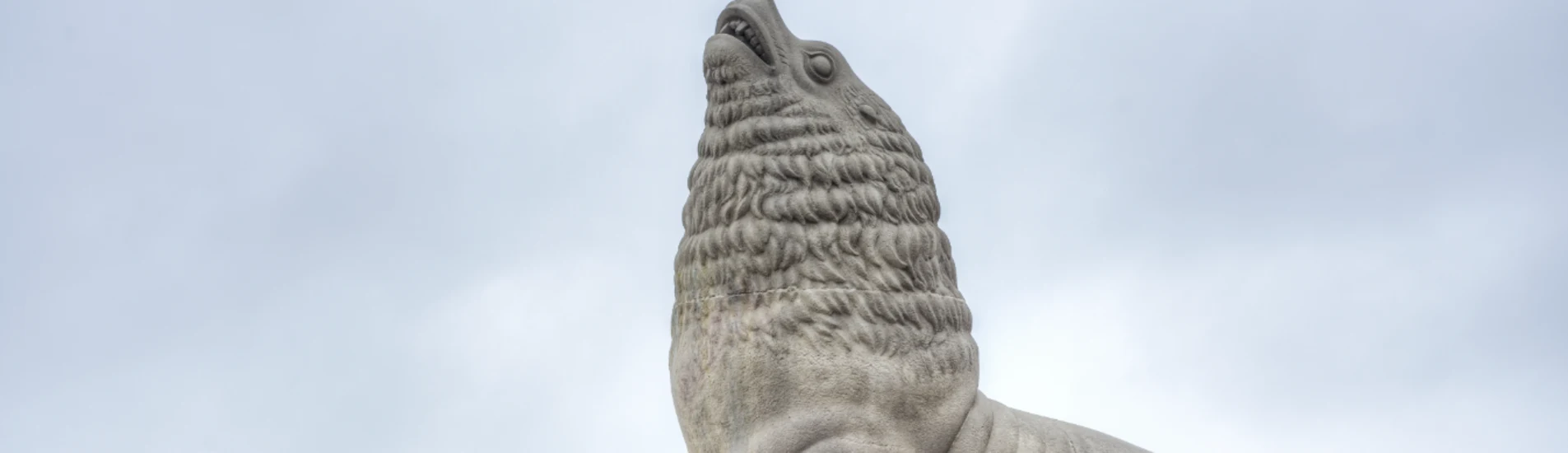 Mar del Plata uçak bileti